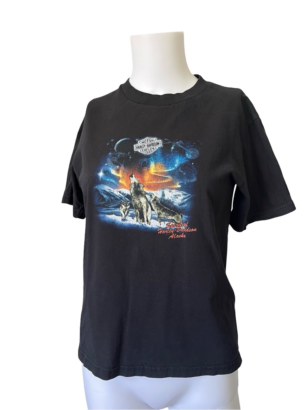 Vintage Harley Davidson Graphic Tee Farthest North Outpost Alaska Youth Medium
